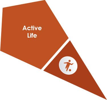 Active Lifestyles Program